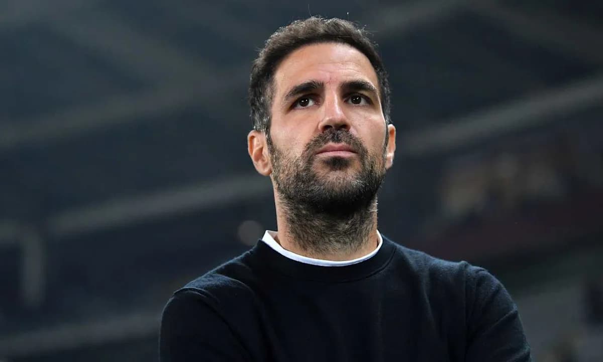 Hombre observando un partido de fútbol desde el banquillo